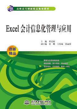 Excel會計信息化管理與應(yīng)用