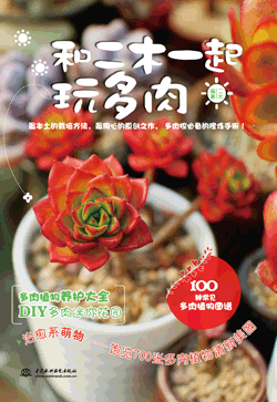 和二木一起玩多肉