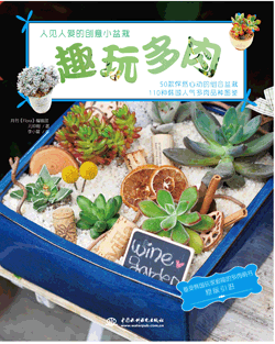 趣玩多肉:人見(jiàn)人愛(ài)的創(chuàng)意小盆栽